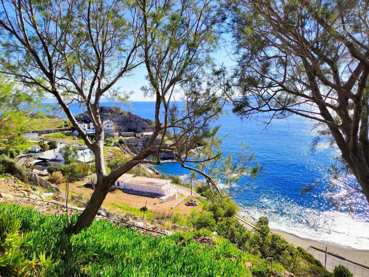 Villa Apostolis Agios Pavlos (Rethymno)