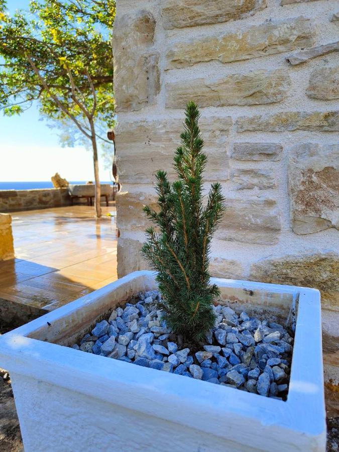 Apostolis * Agios Pavlos (Rethymno)